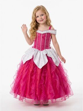 Girls Aurora Sleeping Beauty Princess Costume Dress Hot Pink Silver Organza Birt